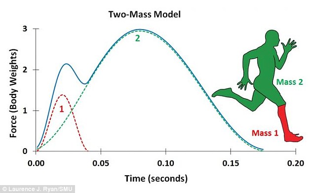 A study has discovered a new explanation the basic mechanics of human running. Using a two-mass model, researchers found that a runner's pattern of force application on the ground is due to the motion of two parts of the body: the contacting leg and the rest of the body