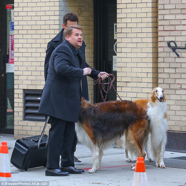 What's the crack: The two actors looked to be cracking wise in the scene, thought it's not yet clear if the dogs play a part in some comedic mishap