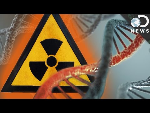 How Radiation Changes Your DNA