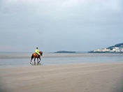 Bobby on the beach.