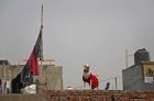 A pet dog wearing a sweater looks on from the roof of a house on the outskirts of New Delhi, India,