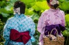 Two young ladies in festive outfits share a quiet moment by a field of water lilies. Taken in Tokyo at a floating ...