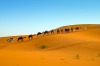 Captivating beauty of the Sahara......near Merzouga, Morocco. It was early morning, a beautiful peaceful morning. So ...