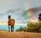 Amazing blue colours await at Lake Tekapo in New Zealand as a result of all of the mineral deposits.  Add to this an ...