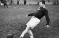 One of the greats: A  statue of Ferenc Puskas will be unveiled on Saturday at Gosch's Paddock.