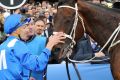 Ready to go: Champion mare Winx is set to return in the Apollo Stakes at Randwick on February 11.