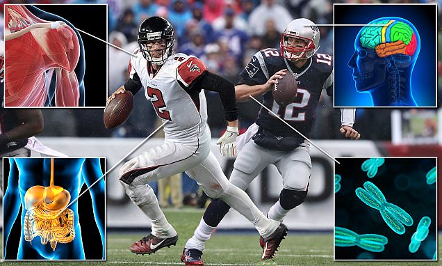 Scientists explain why Matt Ryan and Tom Brady are so good