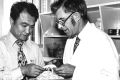 John Moss with Yoshi Shirao, the first Japanese scientist to work on Asian noodles with the Bread Research Institute of ...