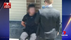 One of the 16-year-old boys, who cannot be identified for legal reasons, was filmed abusing police as he sat handcuffed ...