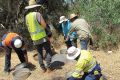 Archaeologists say they have found historic aboriginal artefacts alongside the route of the Roe 8 extension.