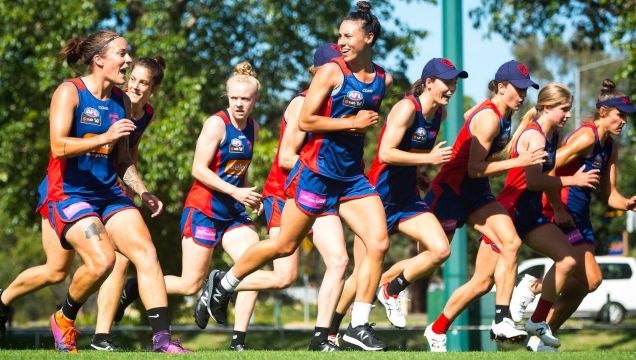 Melbourne players during a training session at Gosch's Paddock.