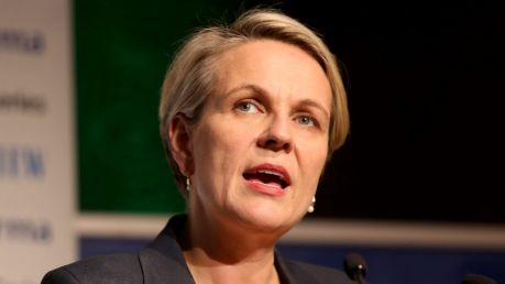 Labor's Tanya Plibersek says it was the right decision for the Gillard government to promise that no school would be ...