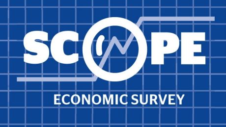 Scope economic survey