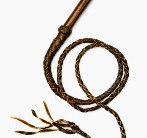A brown leather whip reminded me of the life my childhood had picked for me.