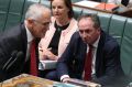 Deputy Prime Minister Barnaby Joyce and Prime Minister Malcolm Turnbull during question time in December.