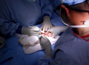 Doctors stationed at the Kandahar Airfield Role III hospital prepare to deliver an Afghan baby via emergency cesarean-section Jan. 20, 2011 in Kandahar Province, Afghanistan.