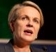 Labor's Tanya Plibersek says it was the right decision for the Gillard government to promise that no school would be ...