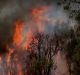 Fire crews battle a blaze at Kurri Kurri on Tuesday.