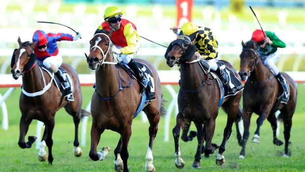 Best filly in the country?: Omei Sword wins Flight Stakes at Randwick.