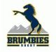 Brumbies logo