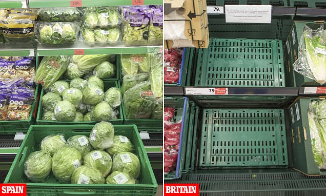 Supermarkets ban online sales as rationing buying spreads