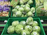 Supermarket shelves in Spain are overflowing with iceberg lettuce, despite the UK shortage. Pictured is a Mercadona supermarket in Mijas, Malaga 