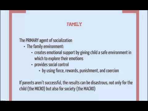 Primary Agents of Socialization