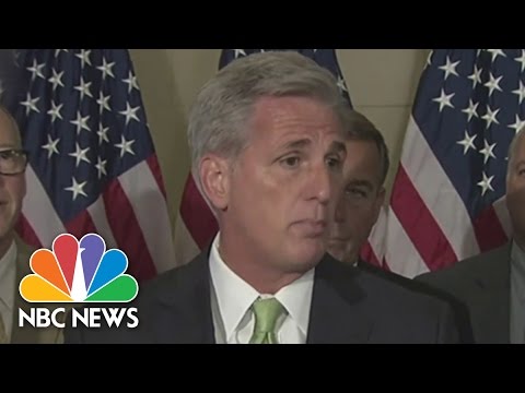 What Does The House Majority Leader Do? | 30 STK | NBC News