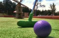 Mini golf
<a href="http://www.illawarragolfcomplex.com.au/putt-putt" target="_blank>Img</a>