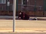 Baffled onlookers saw Florin Grosu, 33, lying face down in the road in Romford, East London