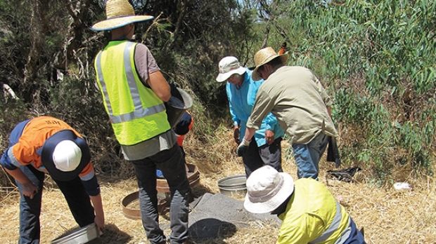 Archaeologists say they have found historic aboriginal artefacts alongside the route of the Roe 8 extension.