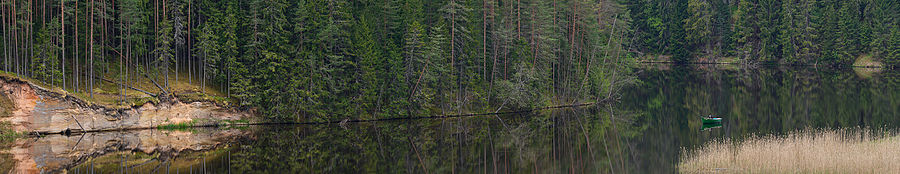 Ahja River, forest landscape, on the left side of the image on the riverbank there is outcrop of Devonian sandstone.