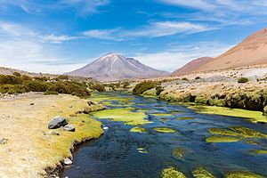 Volcán Paniri, Chile, 2016-02-09, DD 23.JPG