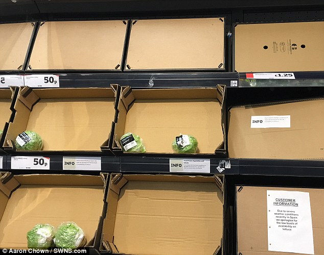 Just a few lettuces were left at a Sainsbury's branch in Solihull, West Midlands, on Friday