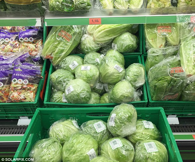 Supermarket shelves in Spain are overflowing with iceberg lettuce, despite the UK shortage. Pictured is a Mercadona supermarket in Mijas, Malaga 