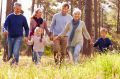 Orphaned children may have a loving extended family but if their parents don't nominate a testamentary guardian, it ...