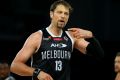 David Anderson is likely to return from injury for Melbourne United this weekend.