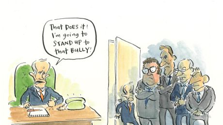 Illustration: Cathy Wilcox