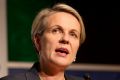 Labor's Tanya Plibersek says it was the right decision for the Gillard government to promise that no school would be ...