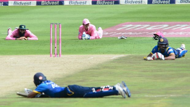 Players hit the deck as bees stop play.