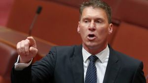 Liberal senator Cory Bernardi has accused the government of "ripping the scab" off old debates.