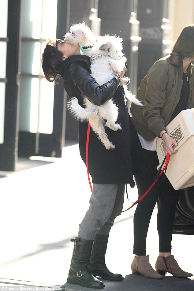 Taking off: The 46-year-old star cracked a smile as her dogs showed her with affection in New York as they appeared to be heading out of the city