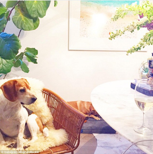 Meghan's dog Bogart relaxes on a woven wooden chair by the dining table. Gray Malin's bird eye view of a beach can be seen hanging on the wall in the background 