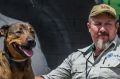 Domestic animal services Operations manager Brad Murrell walks one of the dogs in the Mugga lane facility.