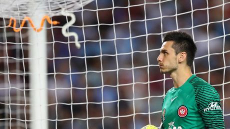 Hissy fit: Snakes thrown by Sydney FC fans hang from the goal of Wanderers' keeper Vedran Janjetovic.