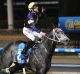 Champion: Tommy Berry on Chautauqua. 