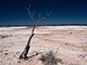 El Nino in Australia means hot sunny weather and drought.