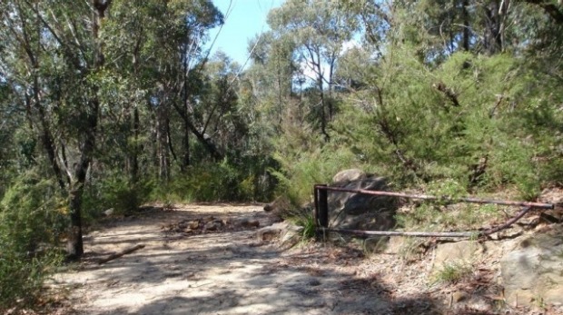 Oaks Fire Trail.