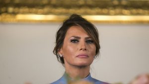 Melania Trump banking on millions from personal brand, court hears 