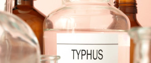 Typhus